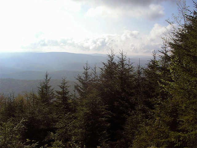 West Virginia Mountains Photo by Ventures Birding